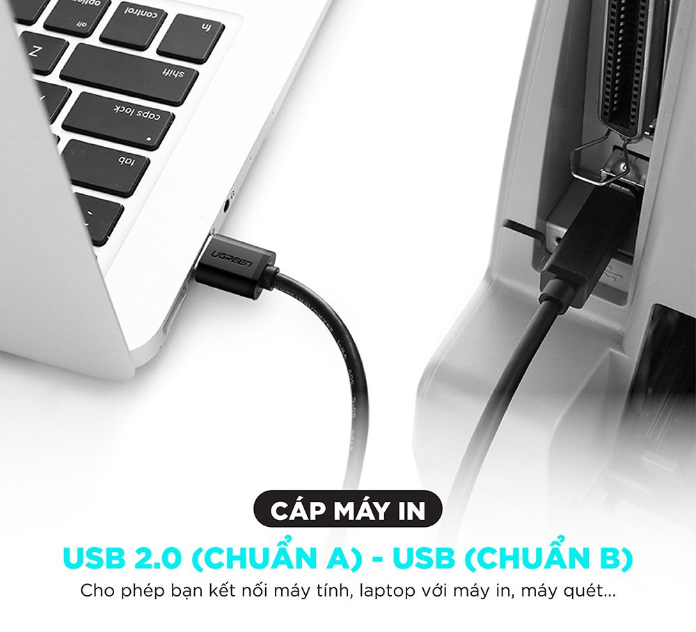 Cáp máy in USB 2.0 dài 2m Ugreen 20847 cao cấp