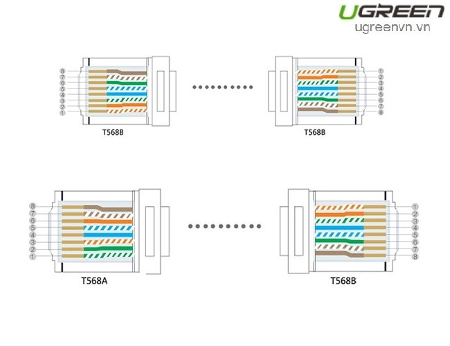 Đầu bấm mạng RJ45 cat 5e 50c/hộp chính hãng Ugreen 20331 cao cấp