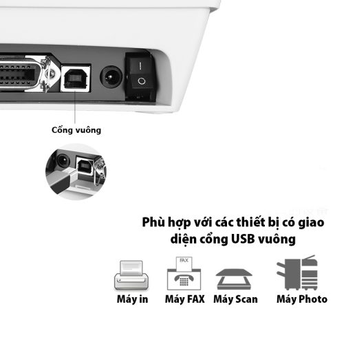 Cáp máy in USB dài 3m chính hãng Ugreen 10328 cao cấp