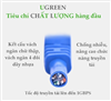 Cáp mạng đúc sẵn Cat6 1m chính hãng Ugreen 11201 cao cấp