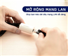 Đầu nối mạng chính hãng Ugreen 20391 hình trụ màu trắng
